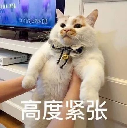 DƬ